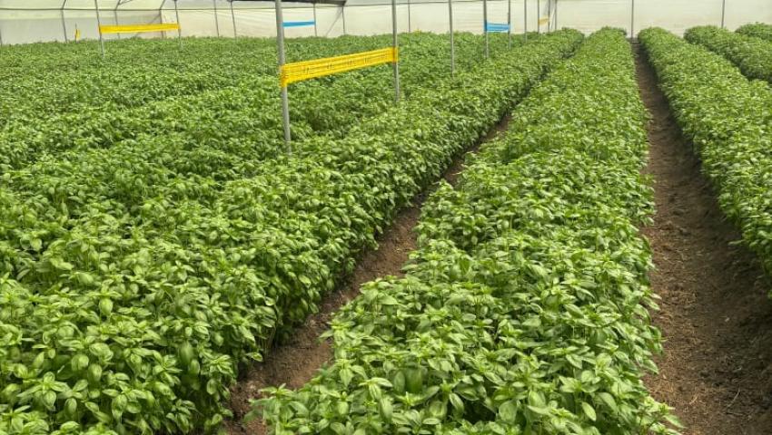 Technology and Innovation