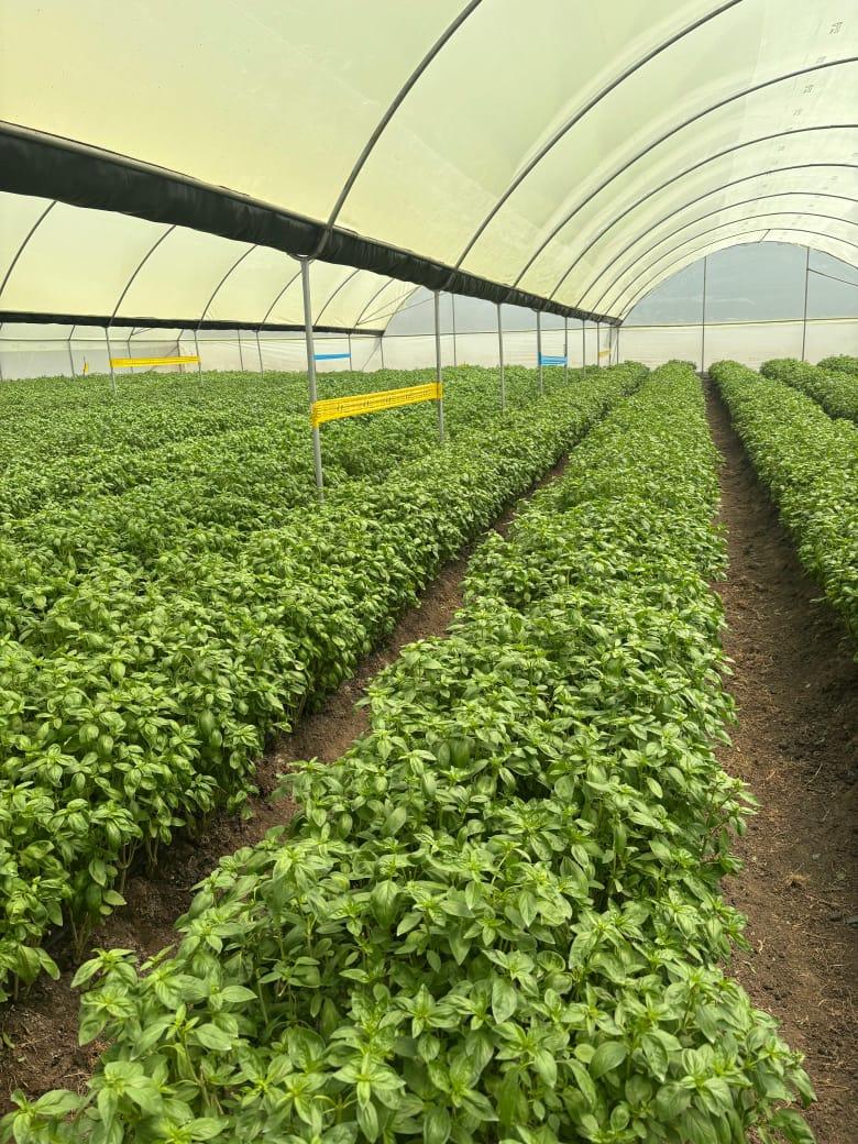 Technology and Innovation